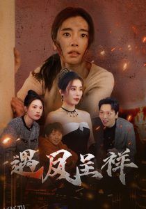 遇凤呈祥 高清海报