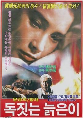 老陶工[电影解说] 海报