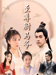 至尊驸马爷 海报