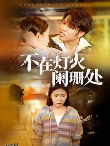 不在灯火阑珊处 海报