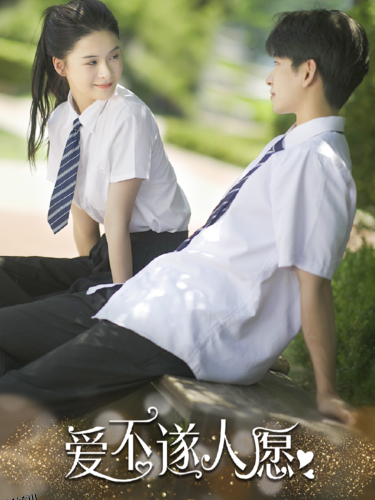 爱不遂人愿 海报