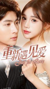 重新遇见爱 海报