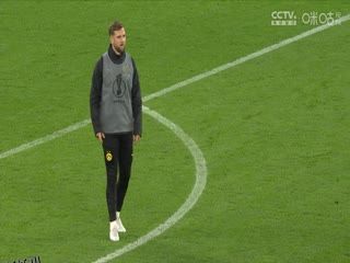 德国杯第二轮 多特蒙德vs霍芬海姆(鲁靖明) 20231101 海报