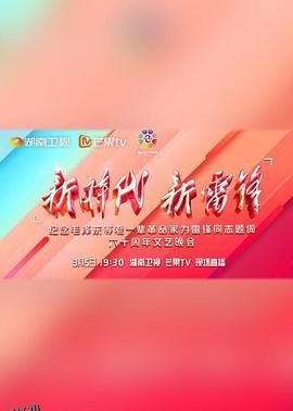 新时代新雷锋 海报