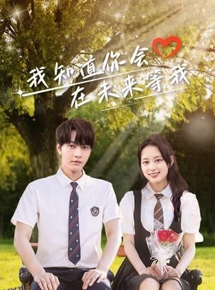 我知道你会在未来等我 海报