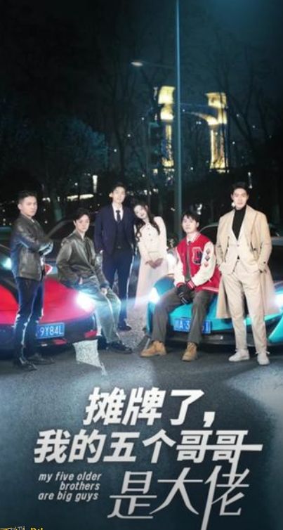摊牌了我的五个哥哥是大佬 海报