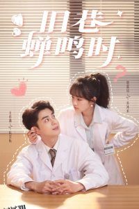 旧巷蝉鸣时 海报