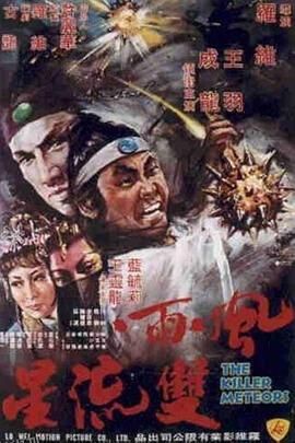 风雨双流星 海报