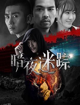 暗夜迷踪 海报