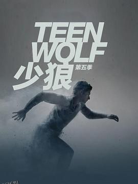 少狼第五季 海报