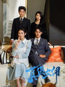 真假女佣 海报