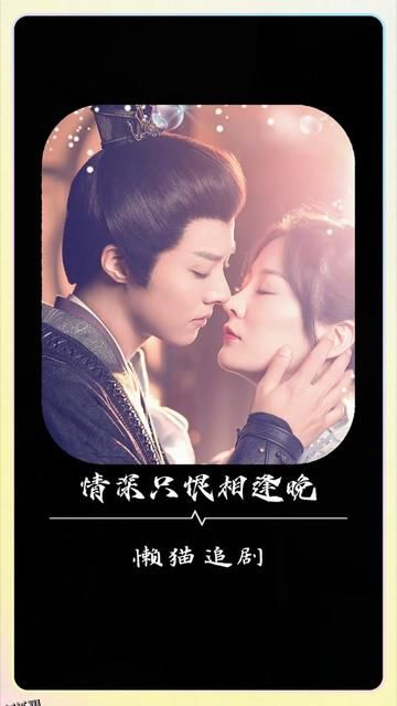 情深只恨相逢晚 海报