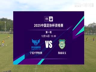 足协杯资格赛 宁夏平罗恒利VS海南双玉 20241216 海报