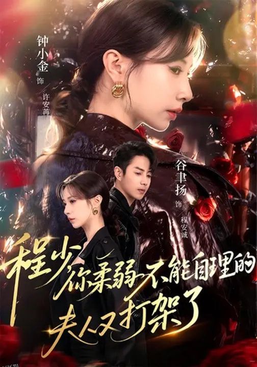 程少你柔弱不能自理的夫人又打架了 海报