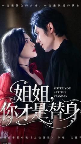 姐姐你才是替身 海报