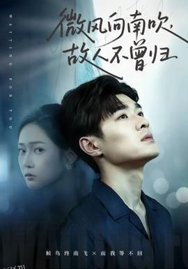 微风向南吹，故人不曾归 海报