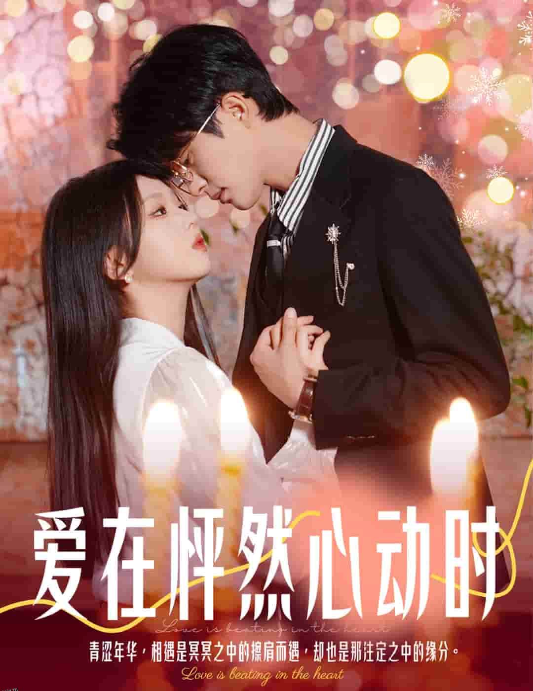 结婚你不答应离职你追什么 海报