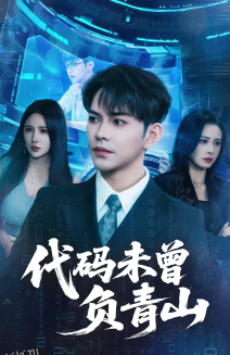 代码未曾负青山 海报