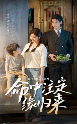 命中注定缘归来 海报