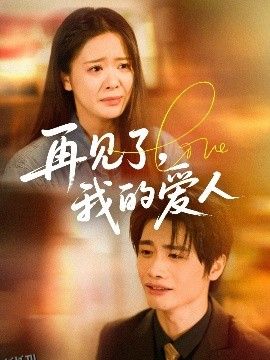 再见了我的爱人 海报