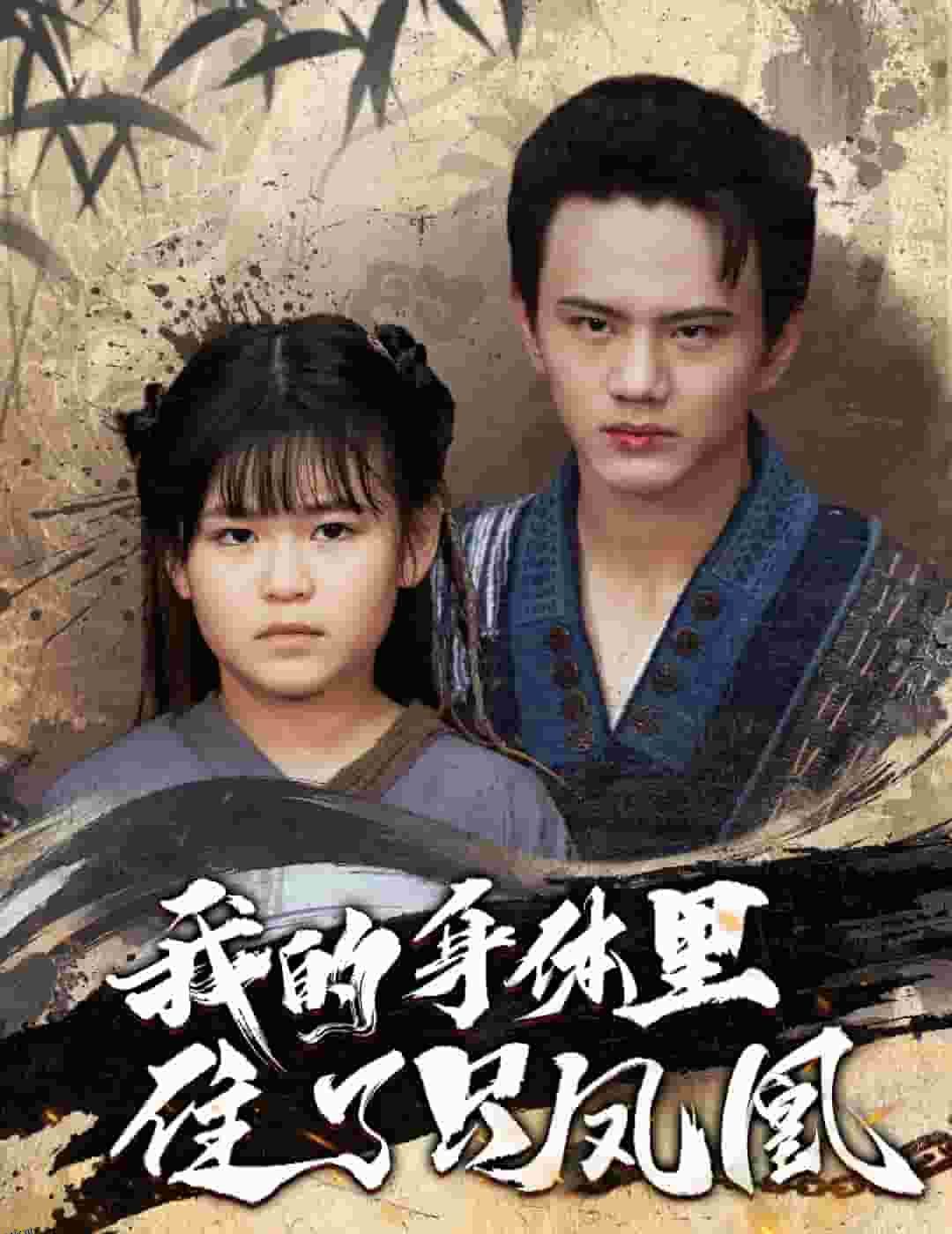 我的身体里住了只凤凰 海报