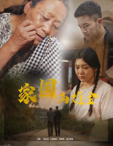 家国两难全 海报