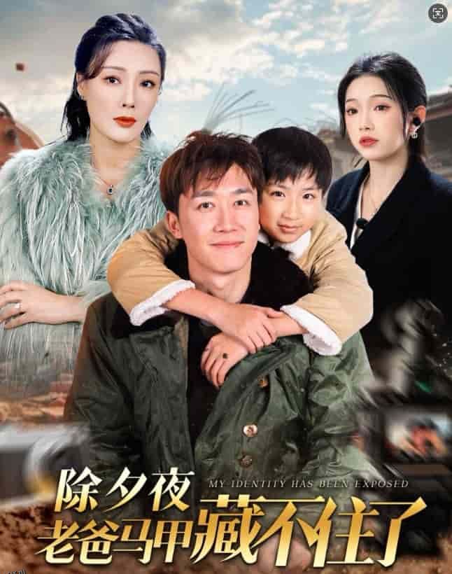 除夕夜老爸马甲藏不住了 海报