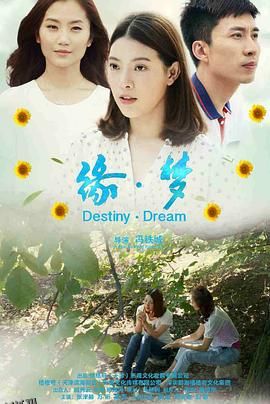 缘梦 海报