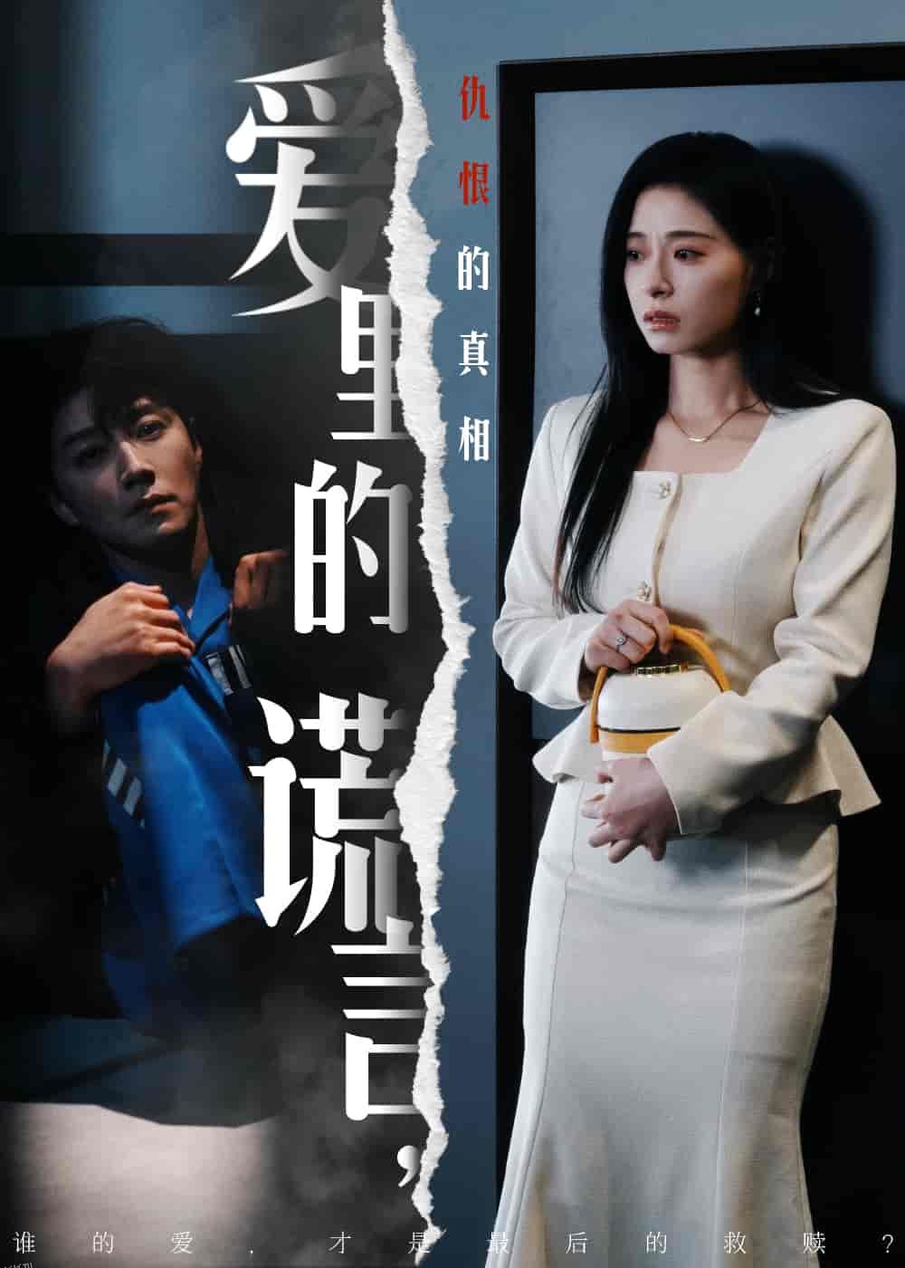 爱里的谎言，仇恨的真相 海报