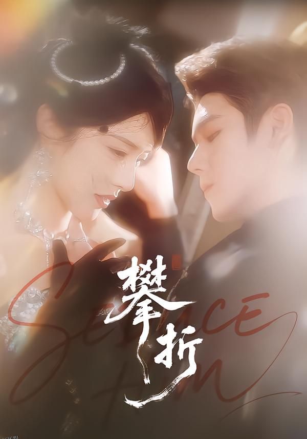 攀折 海报