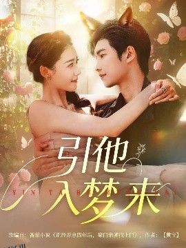 引他入梦来 海报