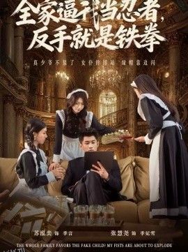 全家逼我当忍者反手就是铁拳 海报