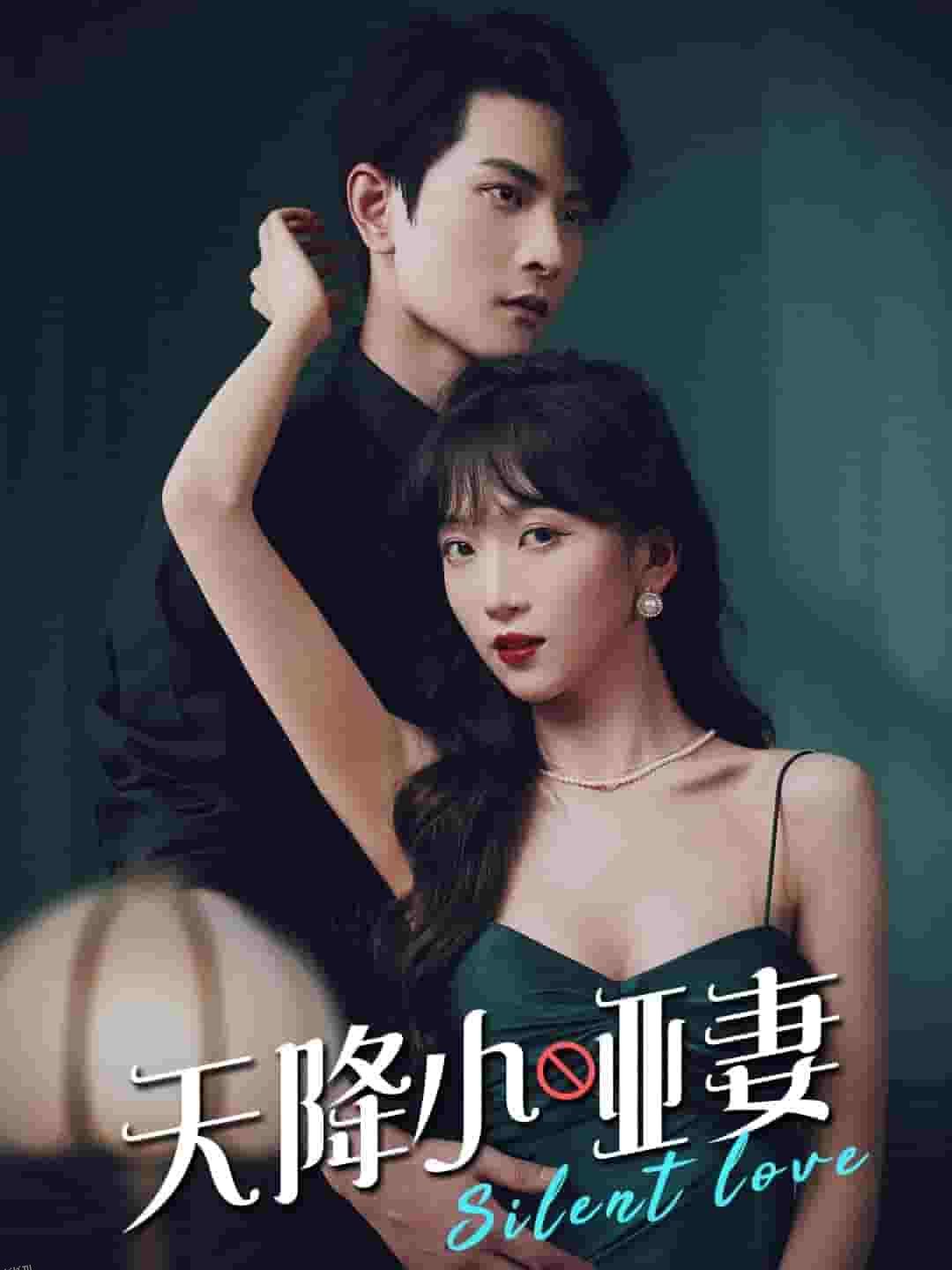 天降小哑妻 高清海报