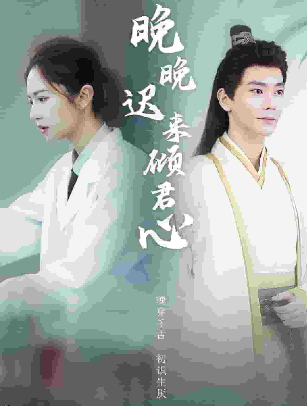 晚晚迟来倾君心 海报