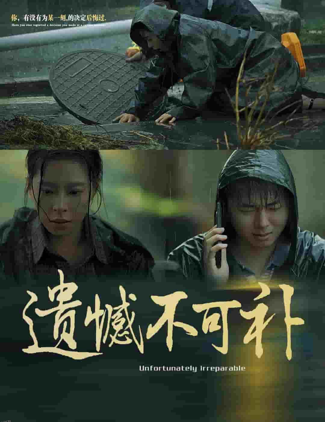 遗憾不可补 海报