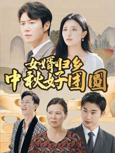 女婿归乡中秋好团圆 海报