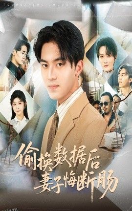 偷换数据后妻子悔断肠 海报