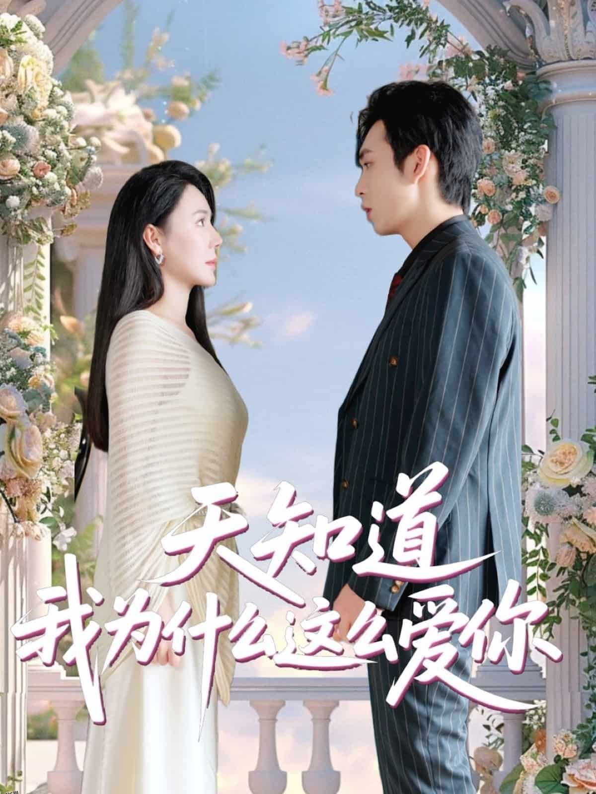 天知道我为什么这么爱你 海报