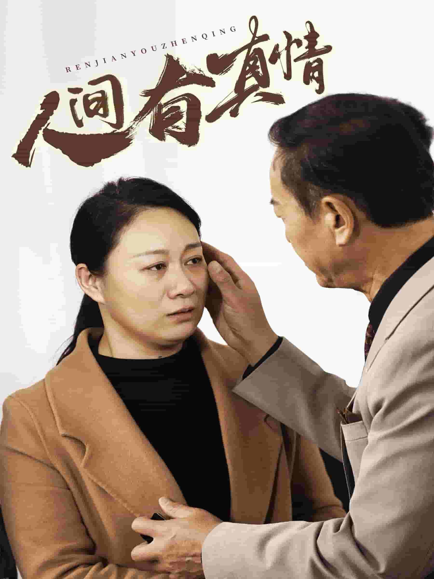 人间有真情 高清海报