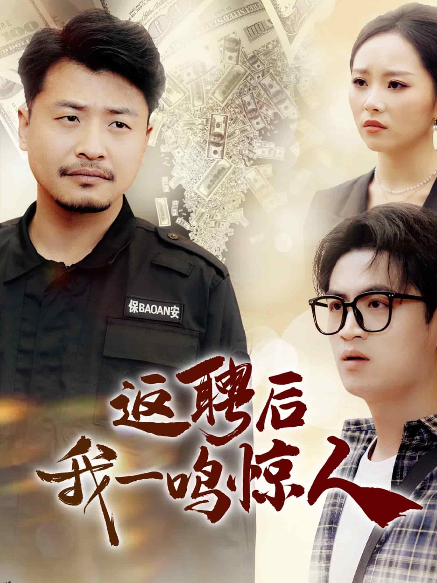 返聘后我一鸣惊人 海报