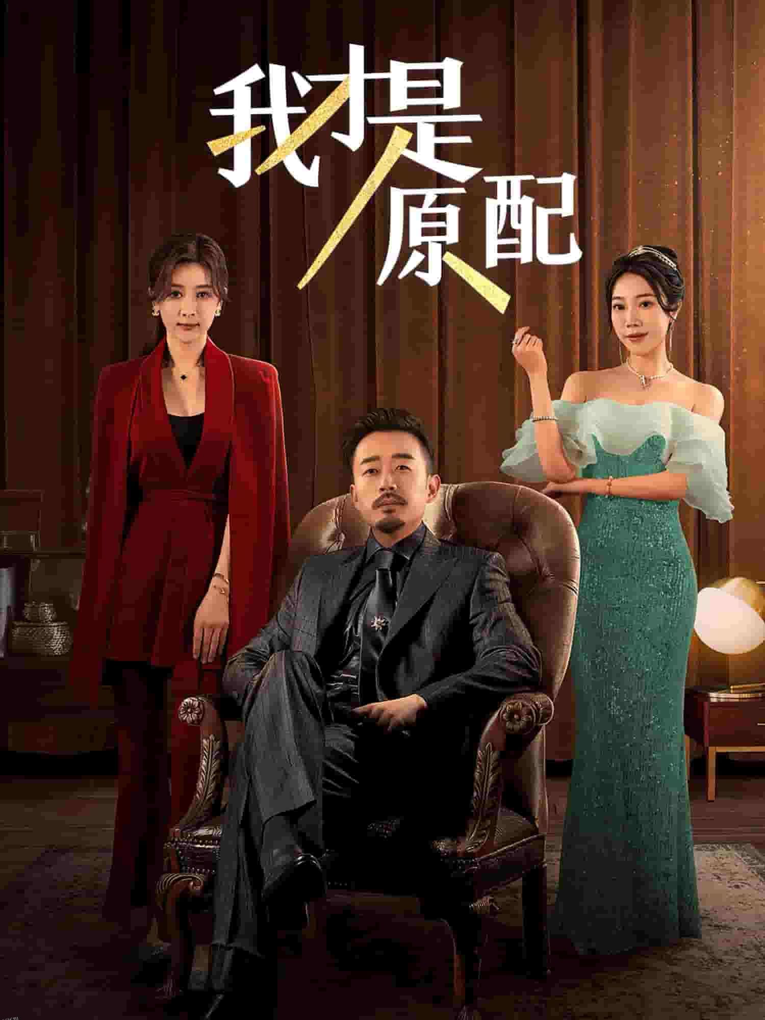 我才是原配 海报