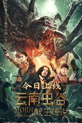 云南虫谷之献王传说 海报