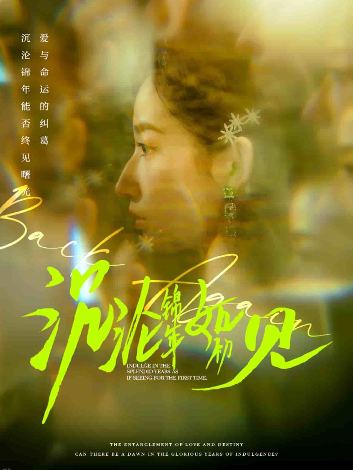 沉沦锦年如初见 海报