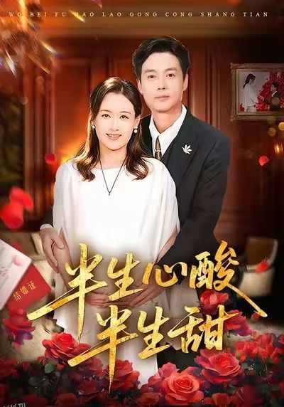 半生心酸半生甜 海报