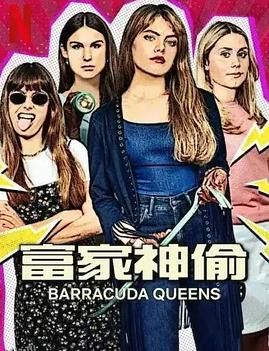 富家神偷第二季 海报