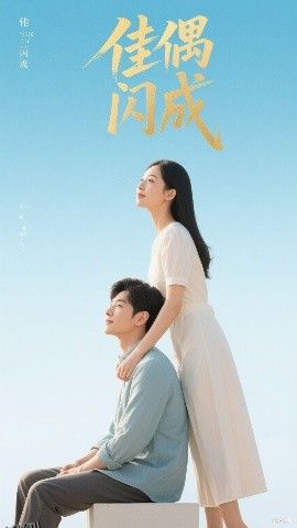 佳偶闪成  假婚真爱 海报