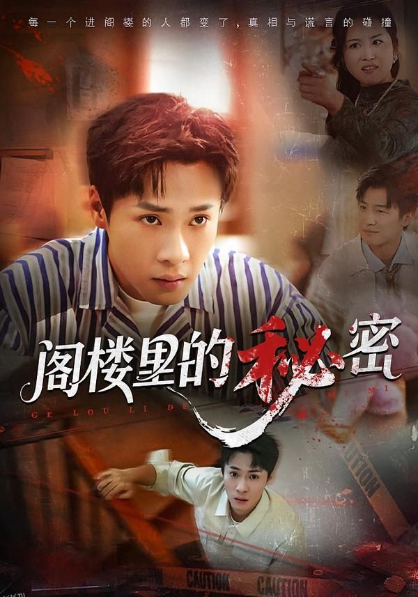 阁楼里的秘密 海报