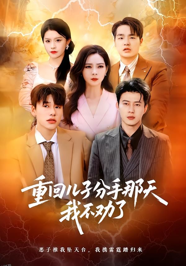 重回儿子分手那天，我不劝了 海报