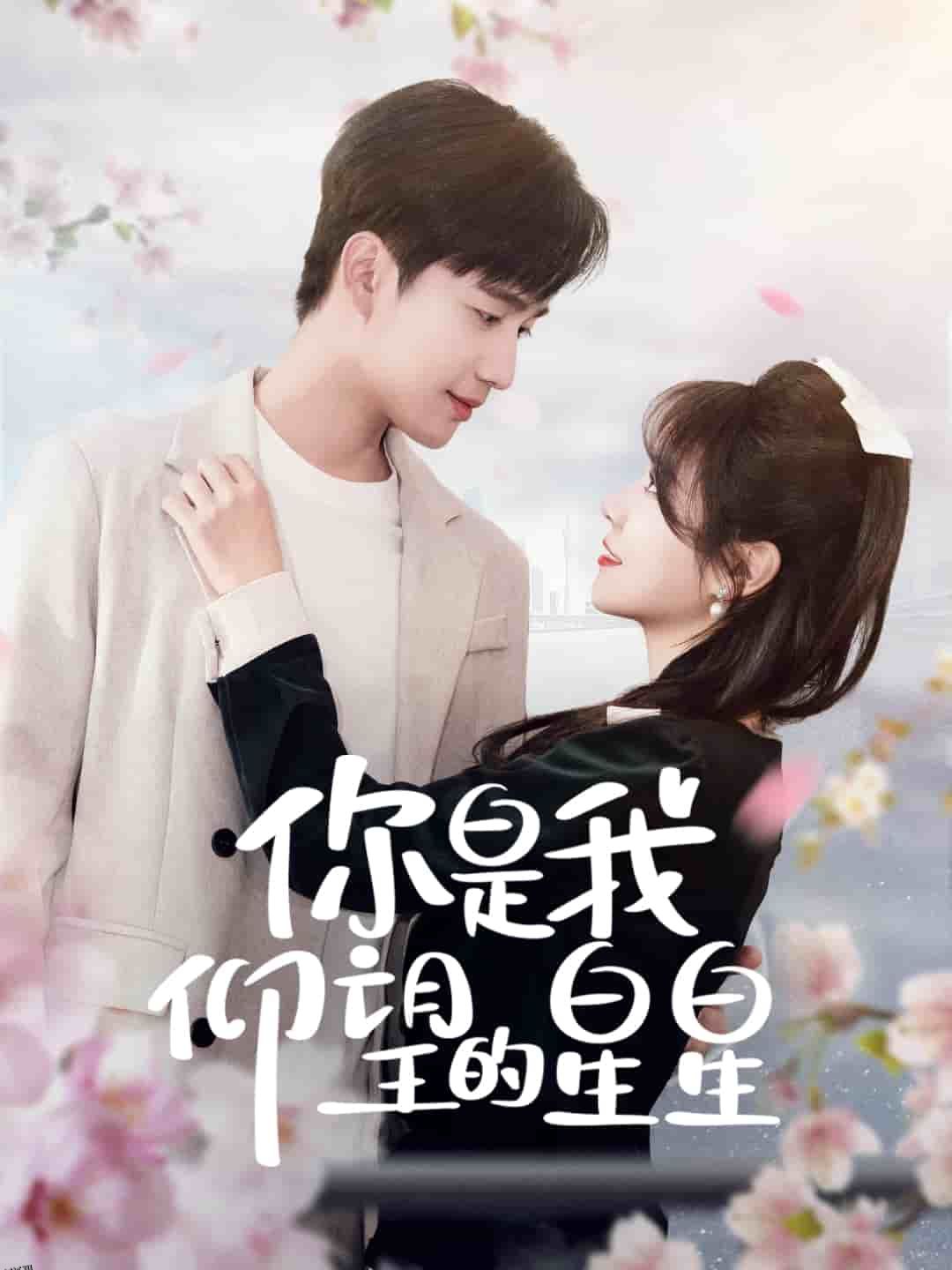 你是我仰望的星星 海报