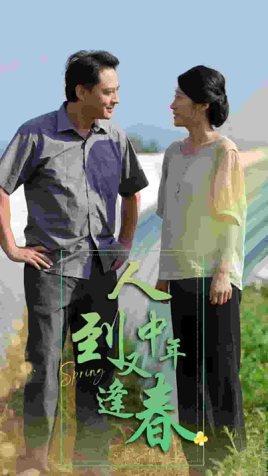 人到中年又逢春 海报